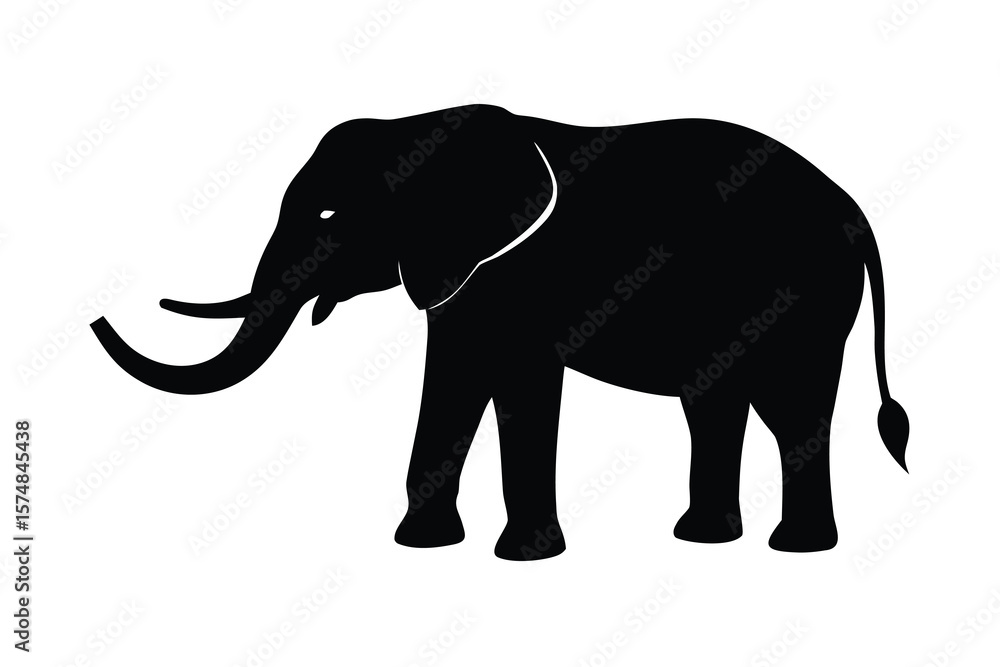 Obraz premium elephant isolated on white