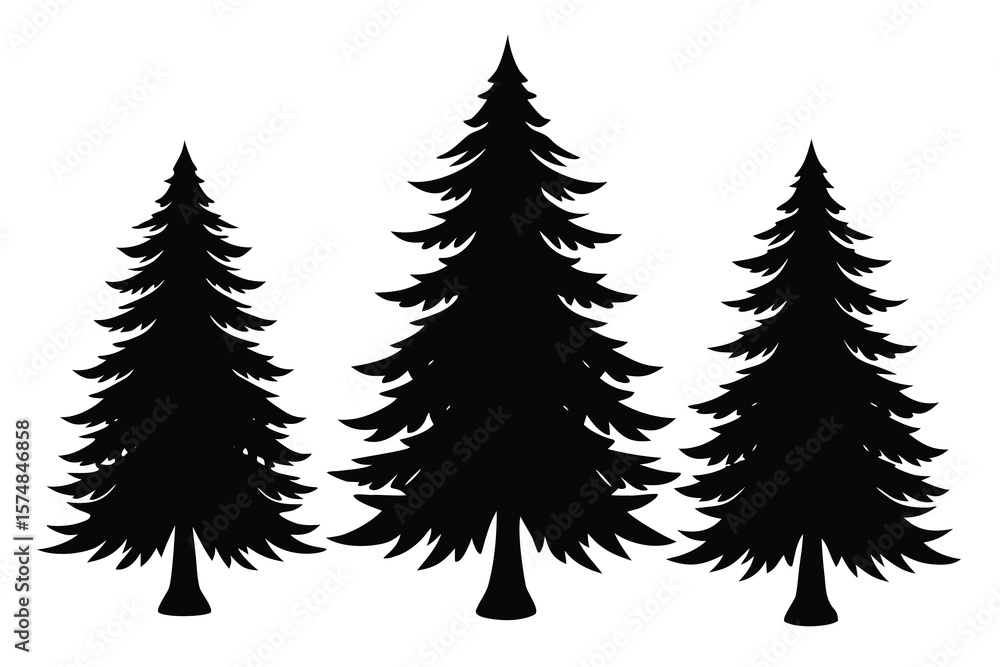 Obraz premium Three Silhouette Pine Trees Isolated on White Background, Evergreen Forest Coniferous Trees
