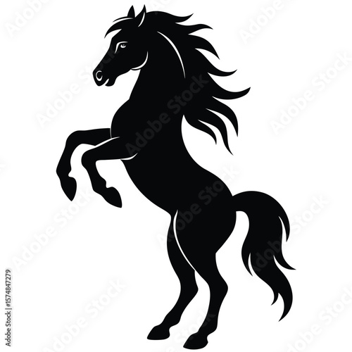 Black horse rearing on hind legs silhouette animal