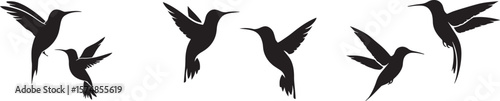 Flying Hummingbird Silhouette Vector Set Isolated