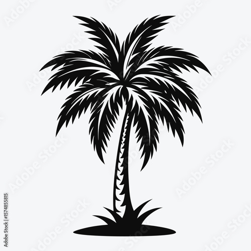 Tropical Palm Tree Silhouettes – Black and White Vector Set for Summer Designs