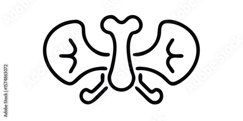 Mega Set of Anatomy Glyph Icons Vector Pictogram Illustration of Cat Anatomy on transparent background Versatile design elements for medical or educational projects on transparent