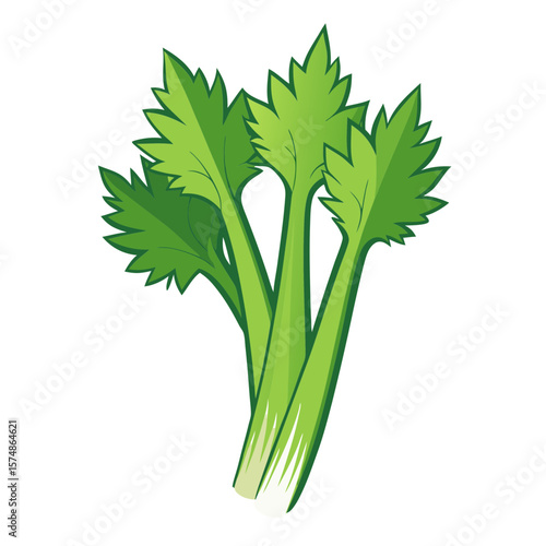 Fresh green celery stalks with leafy tops illustration
