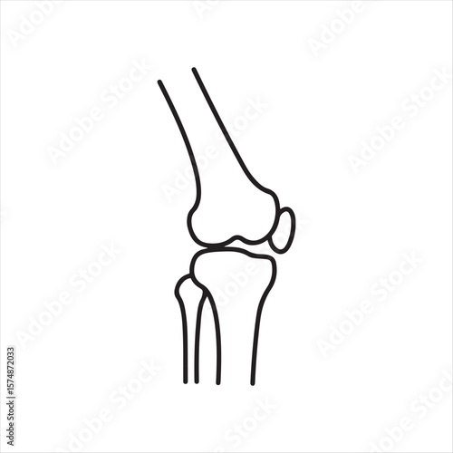 Knee Joint Anatomy Illustration Depicting The Bones Structures and Cartilage Medical Diagram for Educational Purposes and Healthcare Content Creation