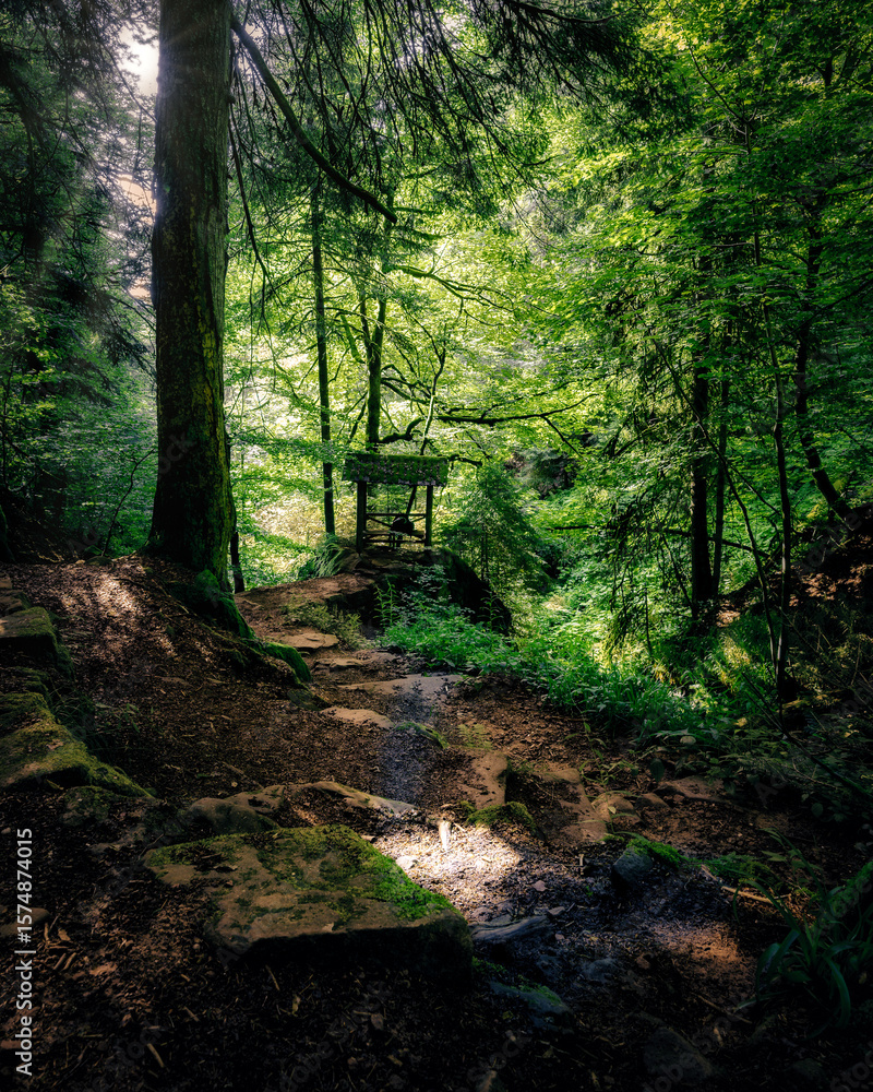 Obraz premium Baiersbronn