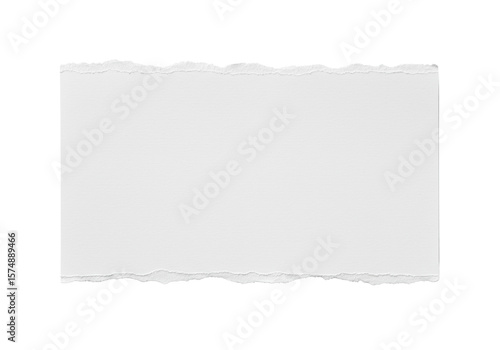 Wallpaper Mural Rectangular transparent paper with intricately torn, fibrous top and bottom edges and smooth blank copy space in the center, isolated against a transparent background from a top-down view with Torontodigital.ca