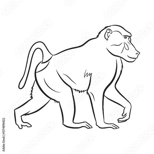 Solid Baboon Stocky Form Outline - Baboon vector - Baboon Line art - Baboon Drawing - Vector Lineart of Baboon - Baboon icon - its commanding intricate dense shape

