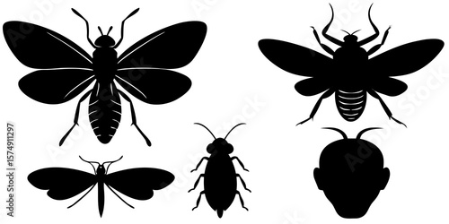Collection of black insect silhouettes including butterflies moths bees and a cockroach