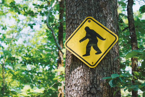 A sign for Bigfoot in an American forest.
