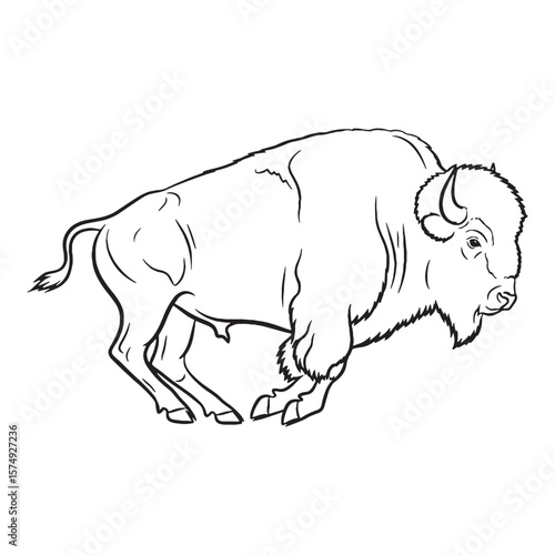 Profound Bison Deep Resilience Conveyed - Bison vector - Bison Line art - Bison Drawing - Vector Lineart of Bison - Bison icon - its enduring hardy unchanging soul

