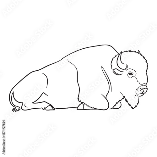Striking Bison Horned Features Highlighted - Bison vector - Bison Line art - Bison Drawing - Vector Lineart of Bison - Bison illustration - its distinct powerful defining attributes

