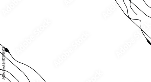 Minimalist Beauty Content Vector