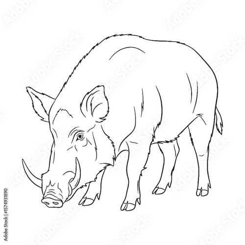 Tableau sur toile Solid Boar Formidable Build Outlined - Boar vector - Boar Line art - Boar Drawin