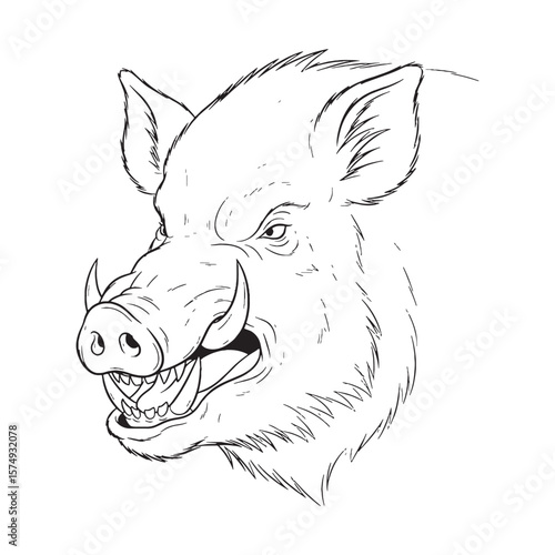 Interpreting Boar Raw Uniqueness Conveyed - Boar vector - Boar Line art - Boar Drawing - Vector Lineart of Boar - Boar icon - its very special individual nature


