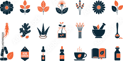 Medicinal herbs line icon set. Vector pictograms of echinacea, ginger, turmeric, lavender, rosemary, calendula, lemon balm, dandelion, st johns wort, thin linear illustration