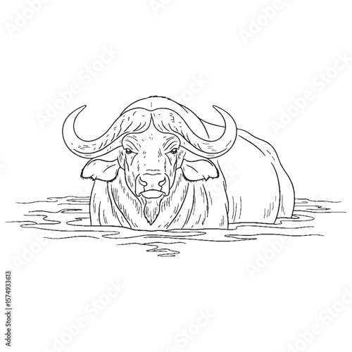 Profound Buffalo Endurance - Buffalo vector - Buffalo Line art - Buffalo Drawing - Vector Lineart of Buffalo - Buffalo icon - hardy core

