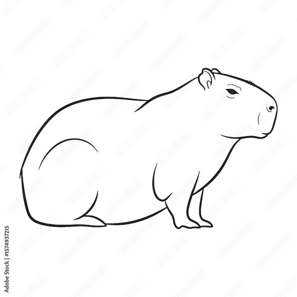 Obraz premium Establishing Capybara Form - Capybara vector - Capybara Line art - Capybara Drawing - Vector Lineart of Capybara - Capybara icon - its enduring appearance