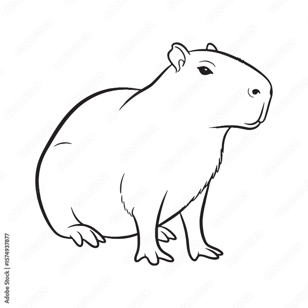 Obraz premium Reflecting Capybara Calmness - Capybara vector - Capybara Line art - Capybara Drawing - Vector Lineart of Capybara - Capybara illustration - its peaceful nature