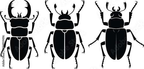 Three black silhouette beetles with distinct antennae and mandibles