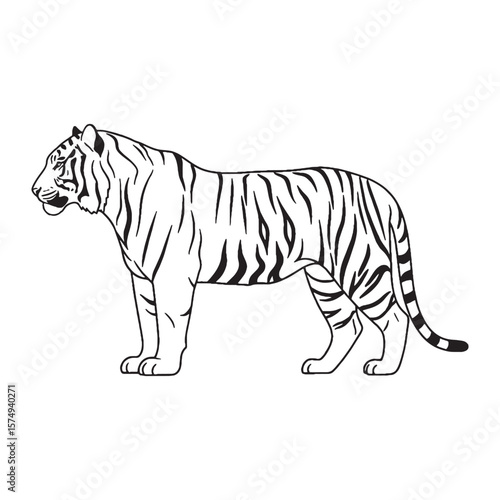 Wild Feline Spirit - Tiger vector - Tiger Line art - Tiger Drawing - Vector Lineart of Tiger - Tiger icon - truly part of pure wildlife

