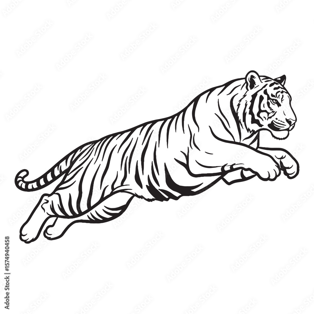 Obraz premium Striped Feline Nature - Tiger vector - Tiger Line art - Tiger Drawing - Vector Lineart of Tiger - Tiger icon - a creature of distinct patterns
