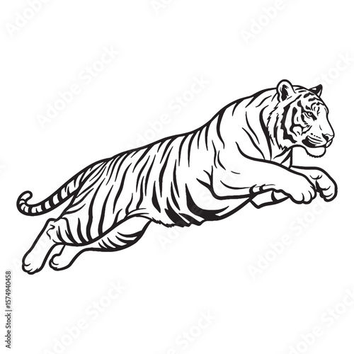 Striped Feline Nature - Tiger vector - Tiger Line art - Tiger Drawing - Vector Lineart of Tiger - Tiger icon - a creature of distinct patterns

