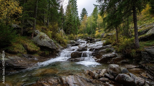 A rushing stream cascades through a verdant, wooded mountain scene