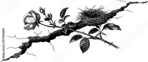 Vintage engraved corniced roofline with nature motifs for artistic designs