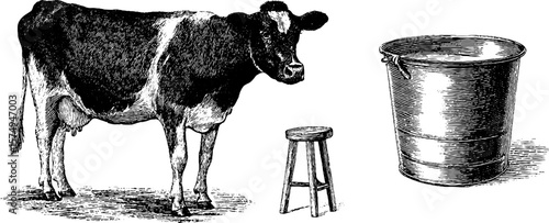 Vintage engraving of cow with three-legged stool and milk bucket scene for rustic decor