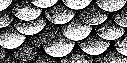 Engraved fish scale pattern for abstract design and decoration