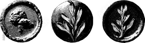 Vintage engraved medallion set with botanical designs for decorative use