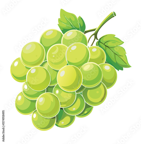 Cotton Candy Grapes – Light Green
