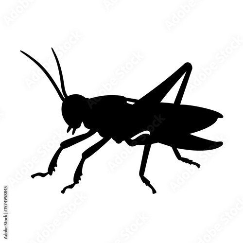 Grasshopper Silhouette Vector – Insect Illustration Isolated on Transparent Background