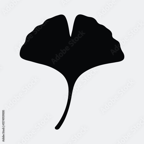 Silhouette ginkgo biloba leaf botany graphic design vector illustration