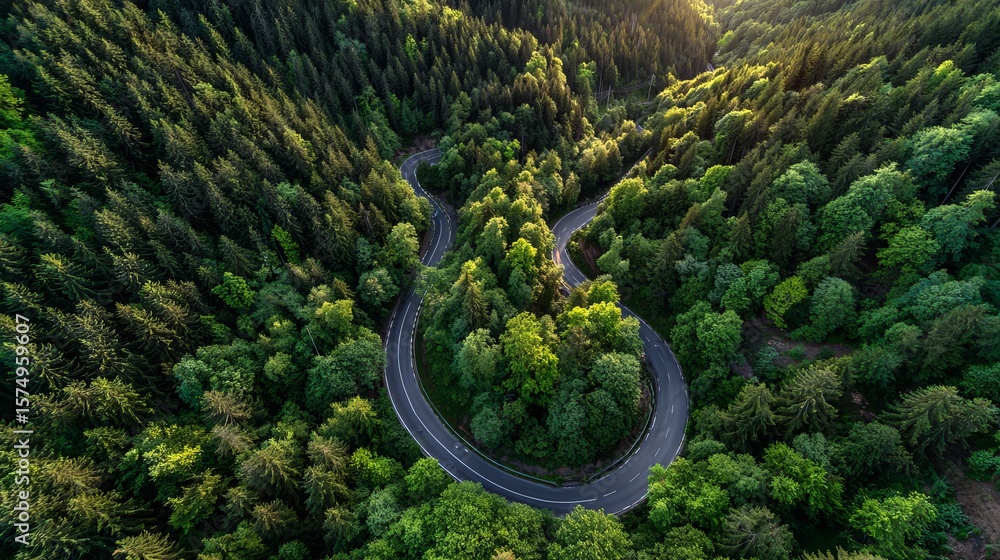 Aerial view of winding road cutting through dense forest, nature meets infrastructure for a scenic drive. Aerial view of winding road cutting through dense forest, nature meets infrastructure for a scenic drive.