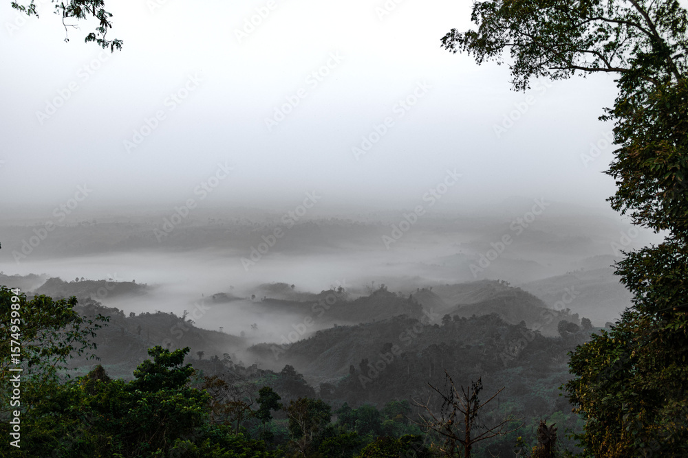 Fototapeta premium Clouds floating above green Sajek trees