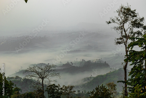 Clouds creeping through Sajek forest path, Bangladesh