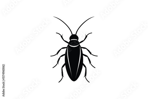 Black and White Cockroach Silhouette Illustration on Clean Background