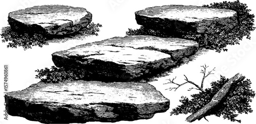 Engraved illustration of a sunken stone path with natural elements for design projects