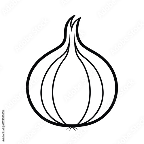 red onion vector illustration