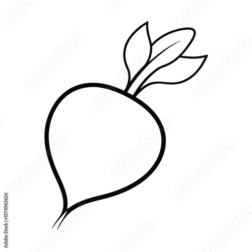 radish icon vector illustration