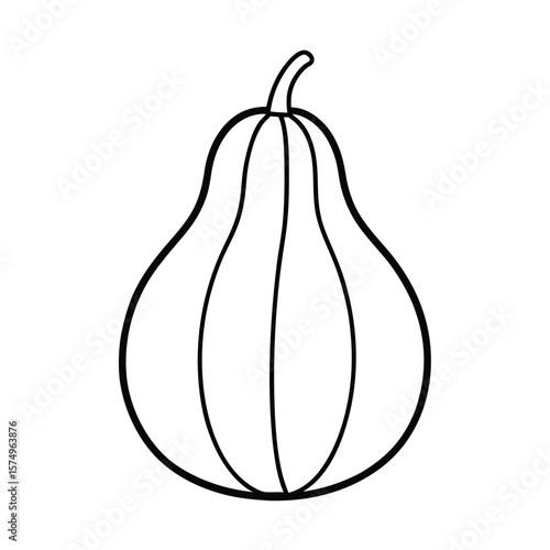 vector illustration of squash