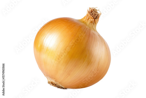 Wallpaper Mural Fresh Whole Yellow Onion, isolated on white transparent background Torontodigital.ca