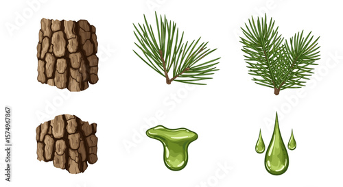 Illustration of tree bark sections pine branches and resin drops in a botanical arrangement style art