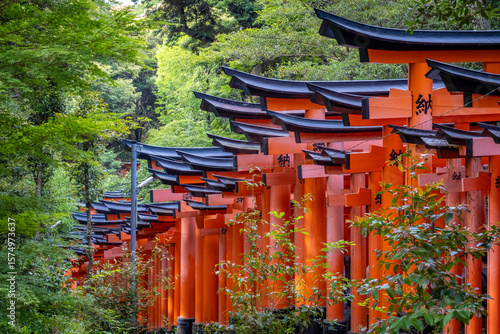 the walk trough the thousand red gates at the Fushimi Inari Shrine near Kyoto in Japan