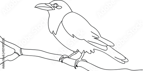 A crow perched on a branch with continuous line art style bird tree