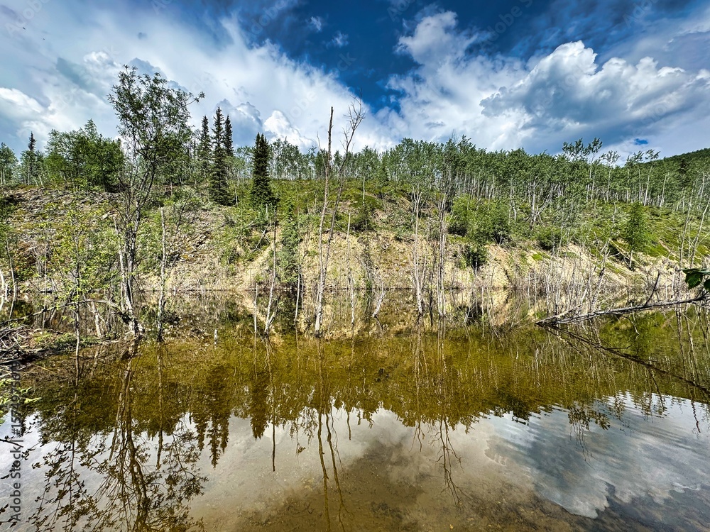 Obraz premium Yukon Territories, Canada