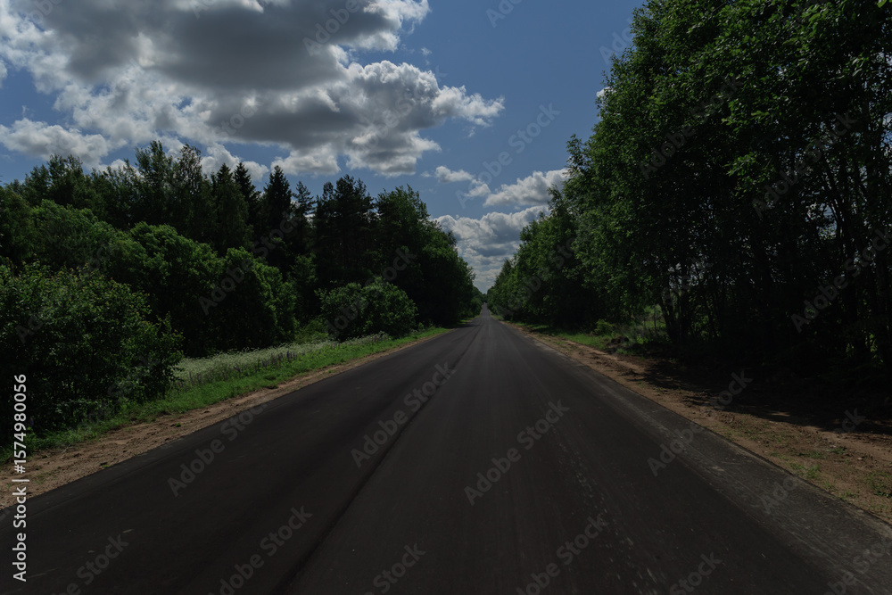 Fototapeta premium The effect of speed on the road and blurred. View of the road on a summer day.