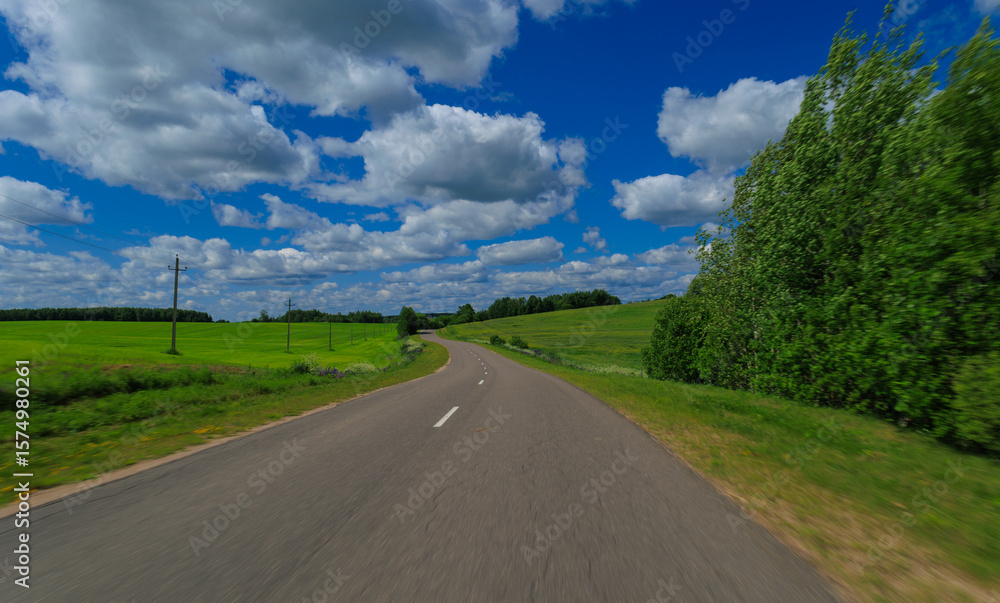 Fototapeta premium Road view on a summer day. Highways, roadside and white road line markings.