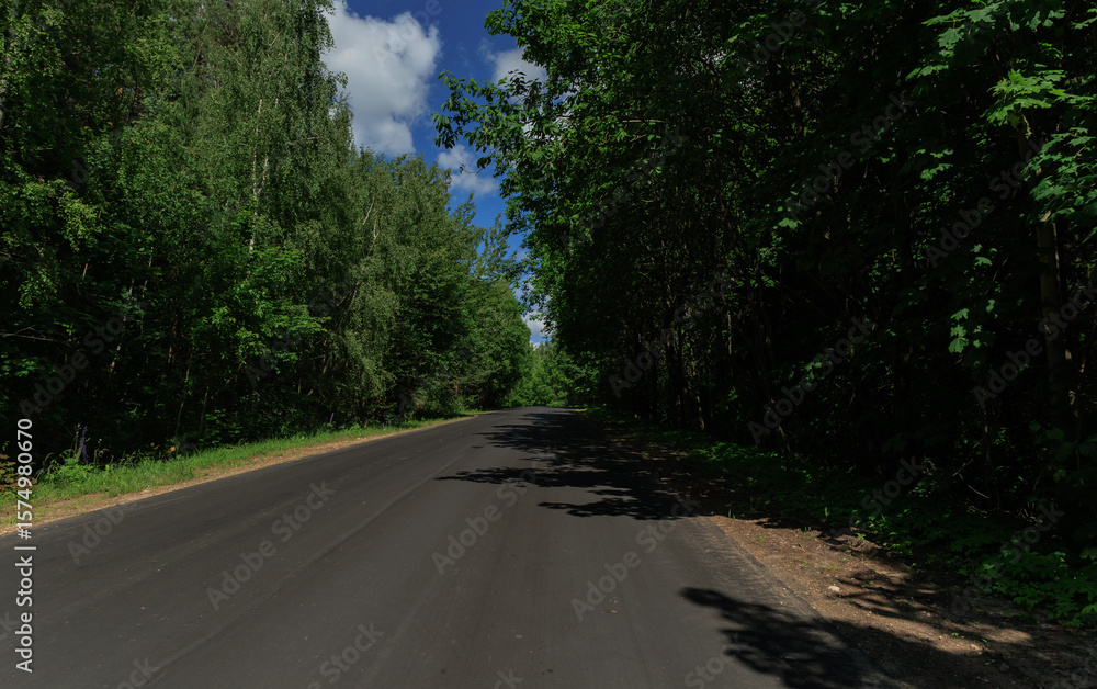Fototapeta premium Road view on a summer day. Highways and roadside, white road line markings.